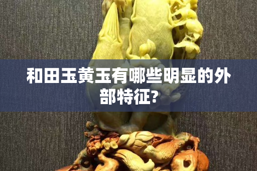 和田玉黃玉有哪些明顯的外部特征?