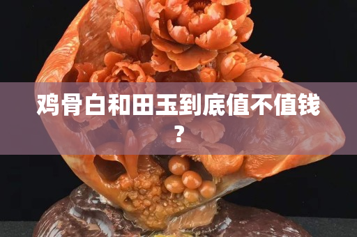 雞骨白和田玉到底值不值錢?