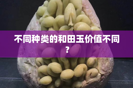 不同種類的和田玉價值不同？