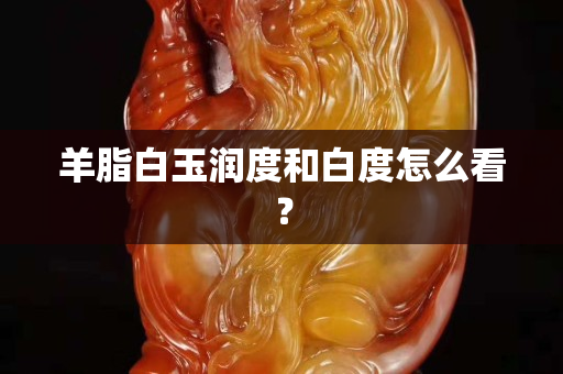 羊脂白玉潤度和白度怎么看？