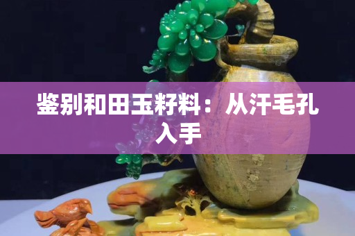 鑒別和田玉籽料：從汗毛孔入手