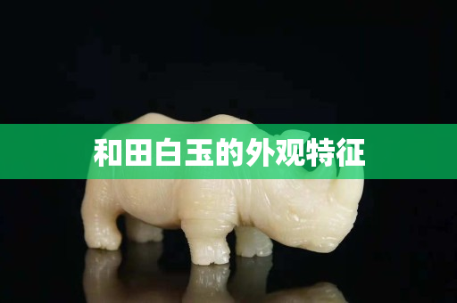和田白玉的外觀特征