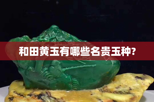 和田黃玉有哪些名貴玉種?