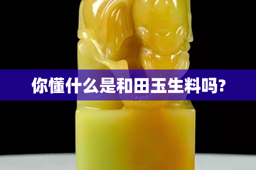 你懂什么是和田玉生料嗎?
