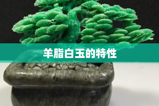 羊脂白玉的特性