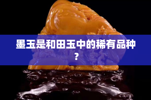 墨玉是和田玉中的稀有品種？