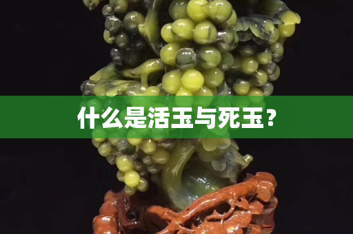 什么是活玉與死玉？