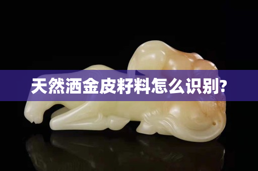 天然灑金皮籽料怎么識別?
