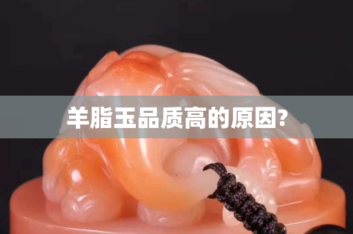 羊脂玉品質高的原因?