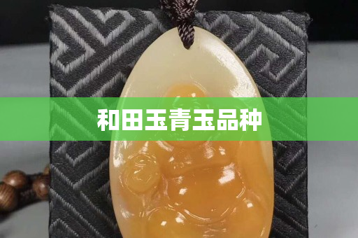 和田玉青玉品種