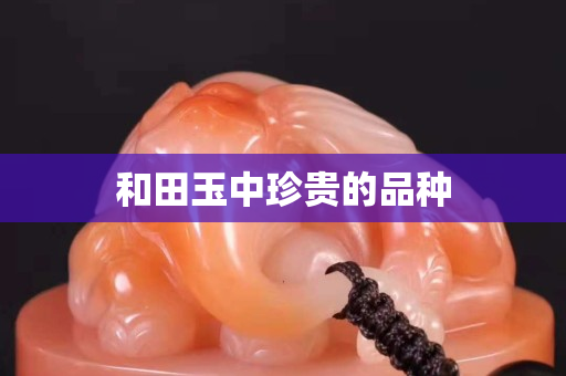 和田玉中珍貴的品種
