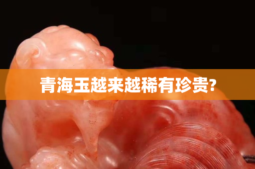 青海玉越來越稀有珍貴?