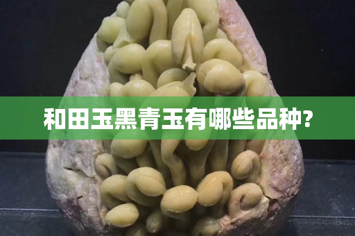 和田玉黑青玉有哪些品種?