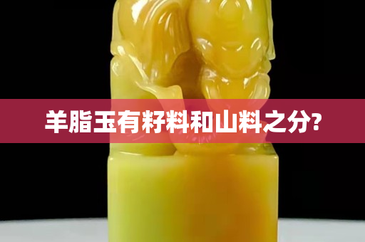 羊脂玉有籽料和山料之分?