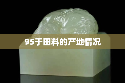 95于田料的產(chǎn)地情況