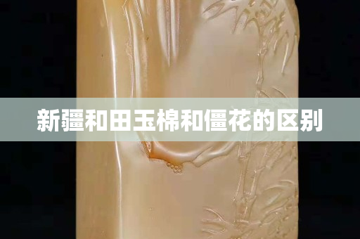 新疆和田玉棉和僵花的區別