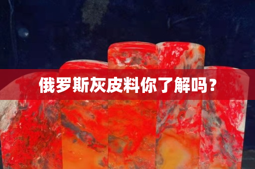 俄羅斯灰皮料你了解嗎？