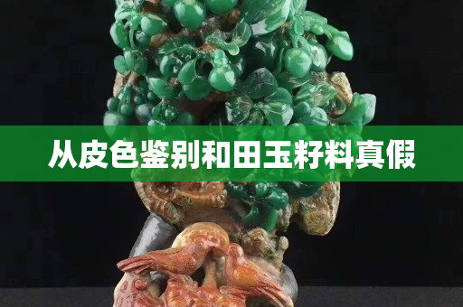 從皮色鑒別和田玉籽料真假