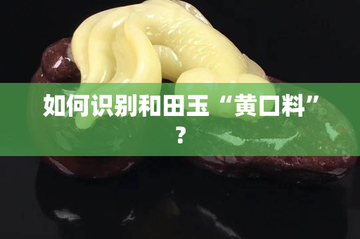 如何識別和田玉“黃口料”?