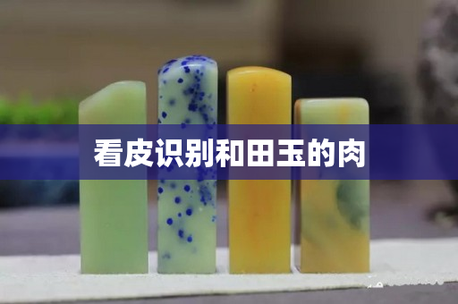 看皮識別和田玉的肉