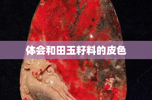 體會(huì)和田玉籽料的皮色