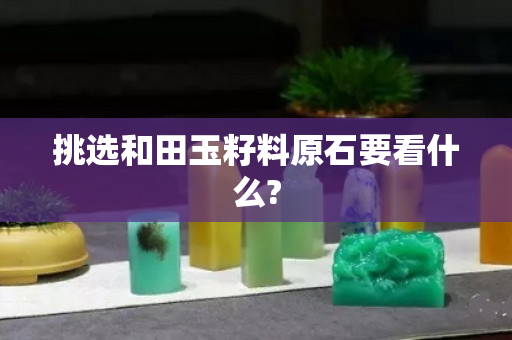 挑選和田玉籽料原石要看什么?