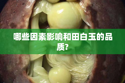 哪些因素影響和田白玉的品質?