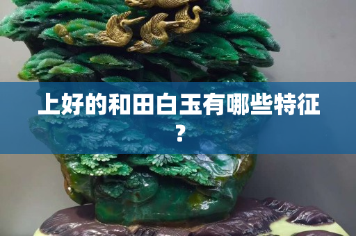 上好的和田白玉有哪些特征？