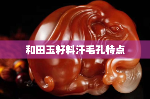 和田玉籽料汗毛孔特點