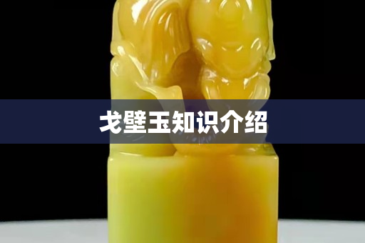 戈壁玉知識介紹