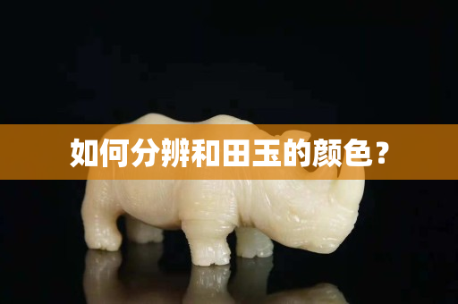 如何分辨和田玉的顏色？