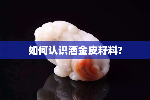 如何認(rèn)識(shí)灑金皮籽料?
