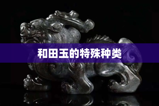 和田玉的特殊種類