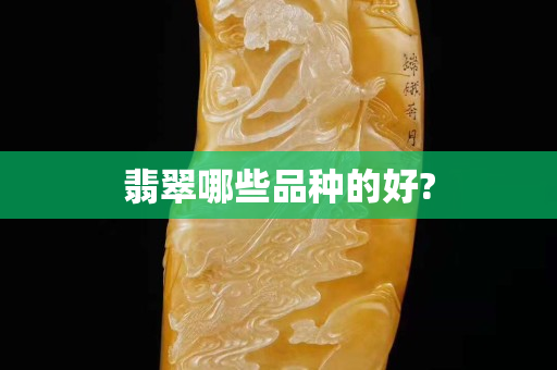 翡翠哪些品種的好?