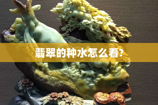 翡翠的種水怎么看?