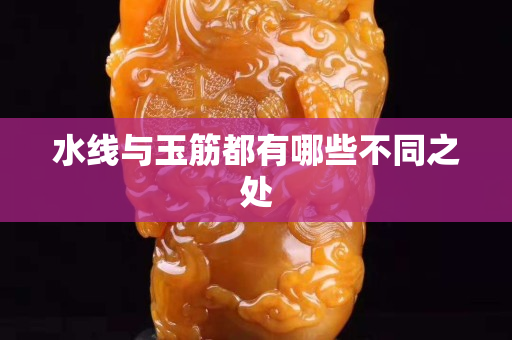 水線與玉筋都有哪些不同之處