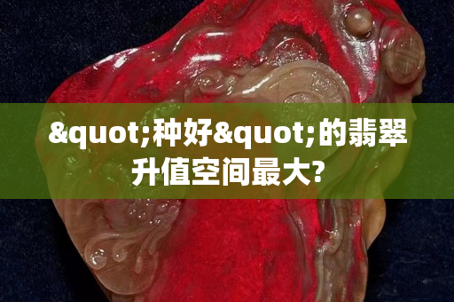 "種好"的翡翠升值空間最大?