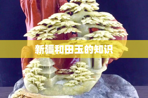新疆和田玉的知識