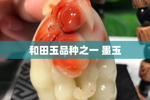 和田玉品種之一 墨玉