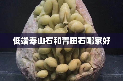 低端壽山石和青田石哪家好