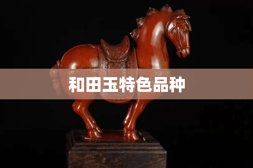 和田玉特色品種