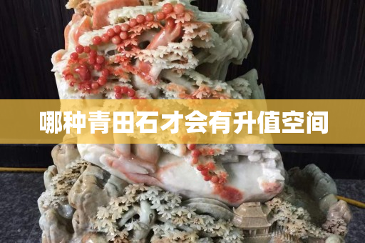 哪種青田石才會有升值空間