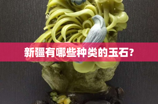 新疆有哪些種類的玉石?