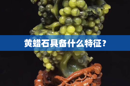 黃蠟石具備什么特征？