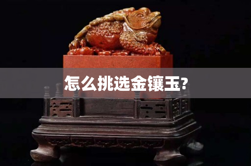怎么挑選金鑲玉?