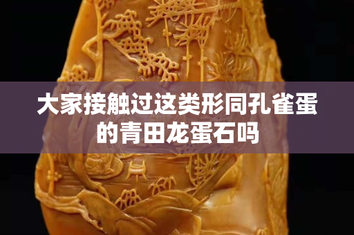 大家接觸過這類形同孔雀蛋的青田龍蛋石嗎