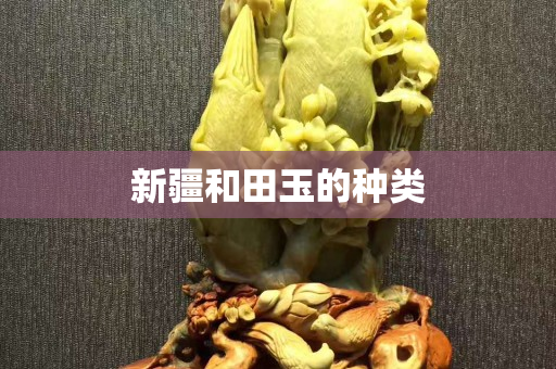 新疆和田玉的種類