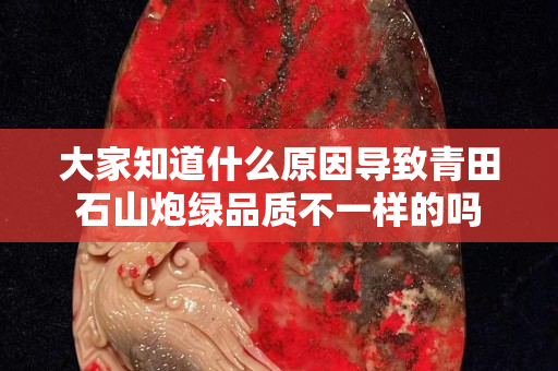 大家知道什么原因導致青田石山炮綠品質不一樣的嗎