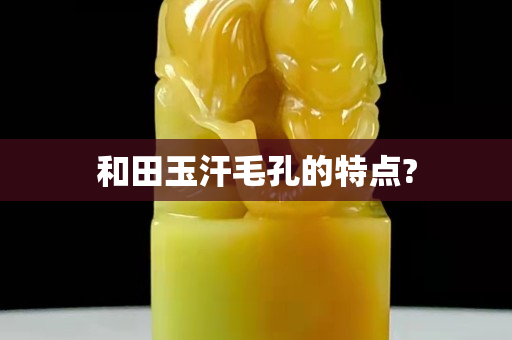 和田玉汗毛孔的特點(diǎn)?