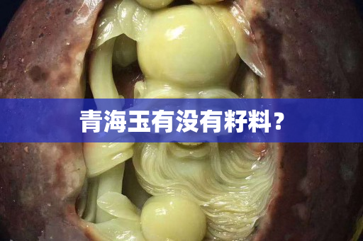 青海玉有沒有籽料？